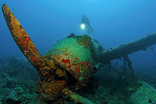 潜水,飞机,残骸,水上飞机,日本,二战,帕劳,密克罗尼西亚,大洋洲
