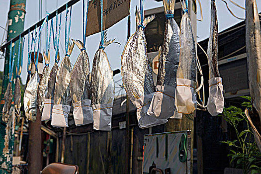 干鱼,出售,乡村,香港