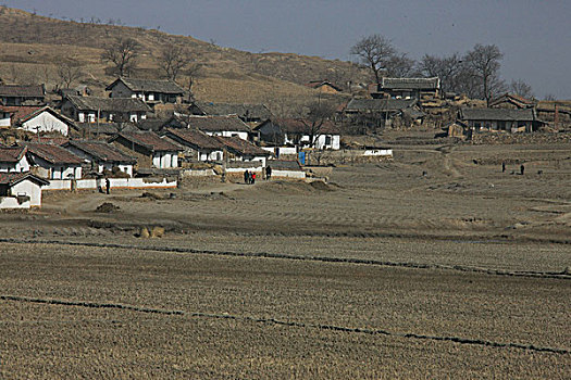 朝鲜农村,村舍,传统,房子,田野,耕地