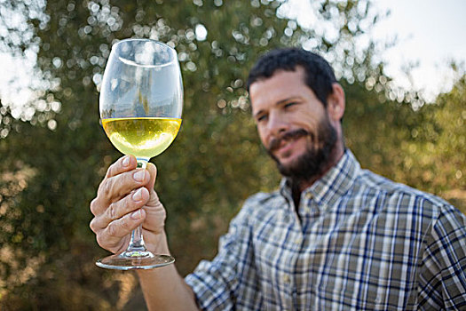 男人,看,葡萄酒杯,橄榄,农场,微笑