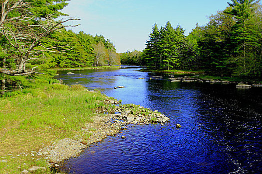 河,通过,国家公园,新斯科舍省,加拿大