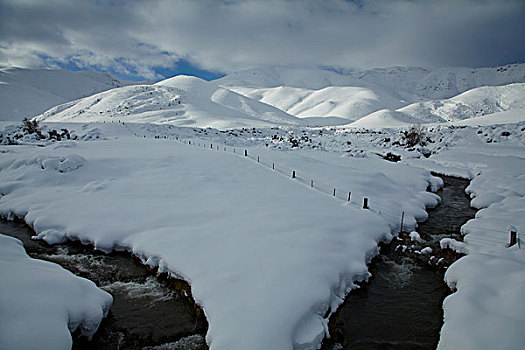 河流,积雪,农田,旁侧,公路,奥塔哥,南岛,新西兰