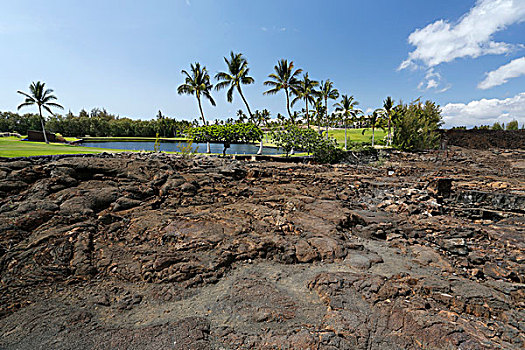 石头,雕刻,瓦克拉,夏威夷大岛,夏威夷,美国