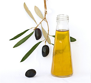 瓶子,橄榄油,橄榄枝,隔绝,白色背景