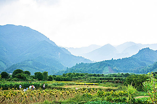 桂林山景秋色