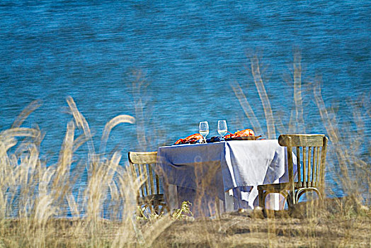 桌子,龙虾,白葡萄酒,海边