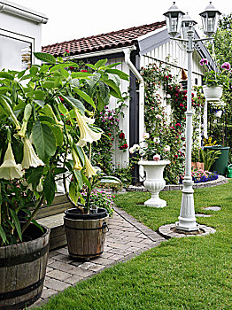 白色,种植器皿,平台,旧式,路灯柱,花园