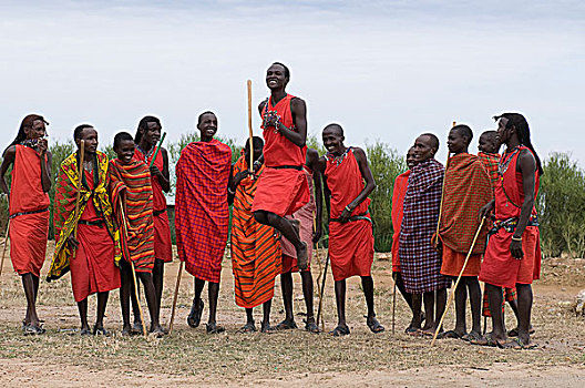 传统,马萨伊,跳舞,展示,马赛马拉国家保护区,肯尼亚,非洲