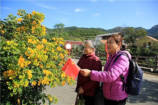 山东省日照市,昔日小山村蝶变美丽乡村打卡地