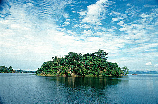 自然,场景,孟加拉