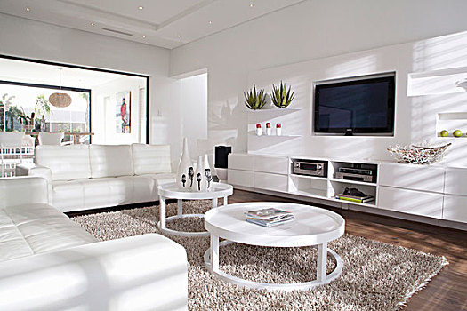 白色,客厅,皮沙发,圆形,茶几,地毯,平板电视,高处,餐具柜