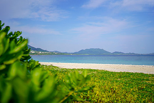 海滩,石垣岛,冲绳,日本