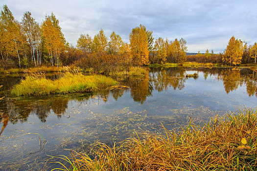 湿地,之秋