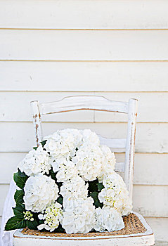 白色,八仙花属,老,椅子,木板墙
