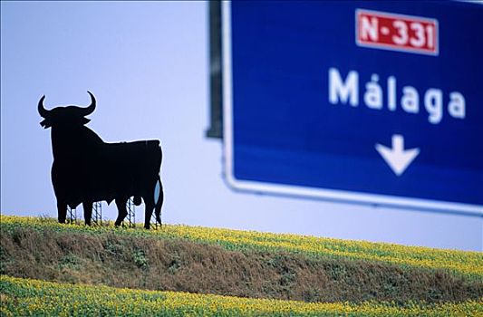 西班牙,安达卢西亚,公牛,象征