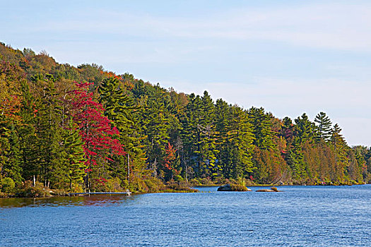 湖,早,秋色,魁北克,加拿大
