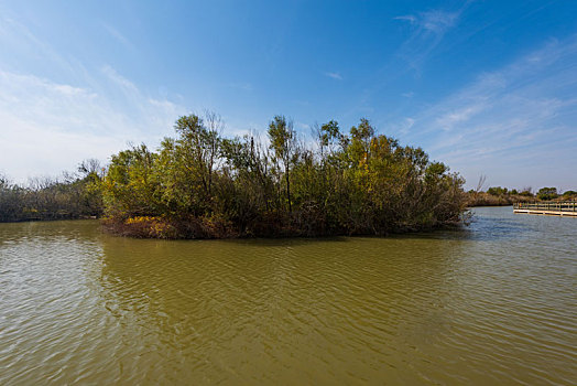 黄河入海口湿地