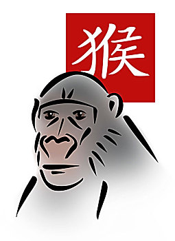 中国,黄道十二宫,黄道宫形,猴子,插画,黑猩猩