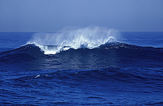 波浪,太平洋,加利福尼亚