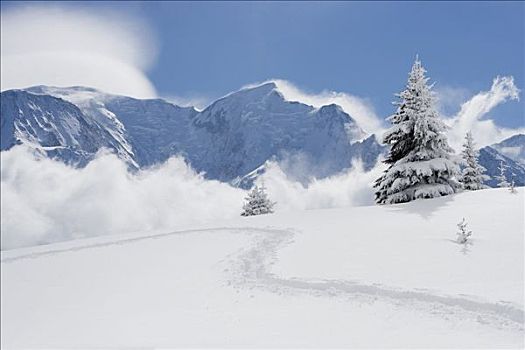 脚印,初雪