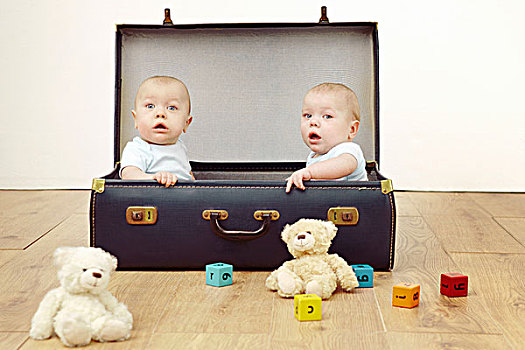 两个,男婴,坐,手提箱,头像