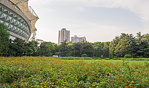 上海鲁迅公园景观