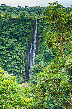 瀑布,乌波卢岛,萨摩亚群岛,南太平洋
