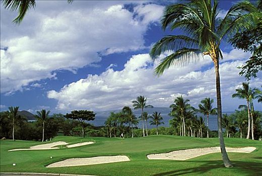夏威夷,毛伊岛,高尔夫球场,橙色,场地,绿色,围绕,沙坑,棕榈树