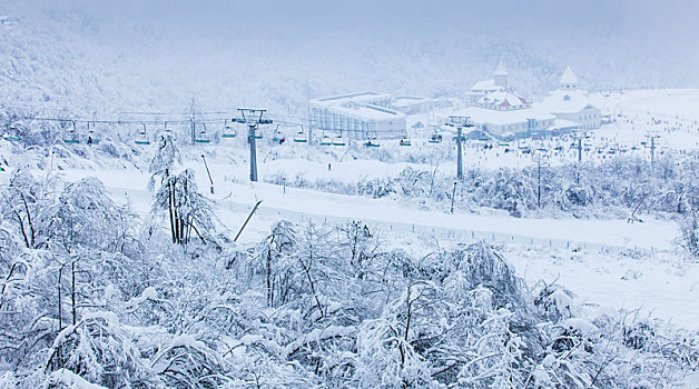 西岭雪山大雪的美丽风景