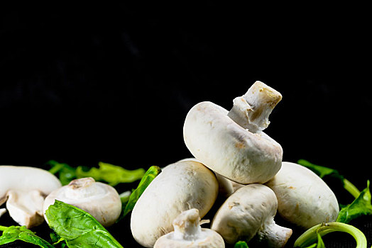 少量新鲜蘑菇配蔬菜在黑色背景上