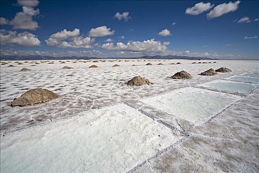 盐,制作,盐湖,阿根廷,南美