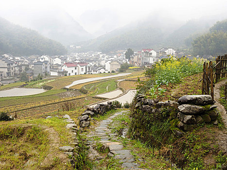 歙县古祝村田园风景