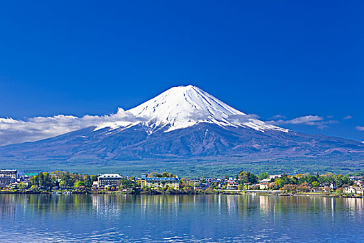 山,富士山,新,绿色,湖