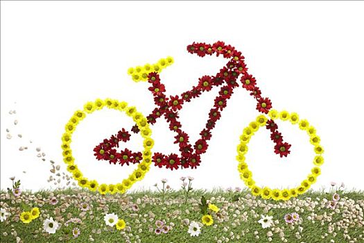 自行车,室外,花,草地