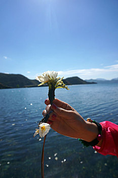 泸沽湖水性杨花