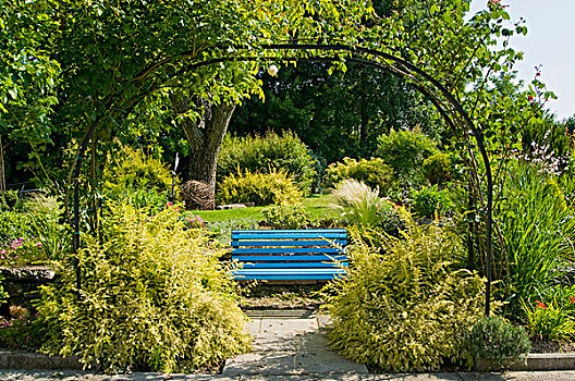 藤,遮盖,拱道,地中海,花园,蓝色,木制长椅