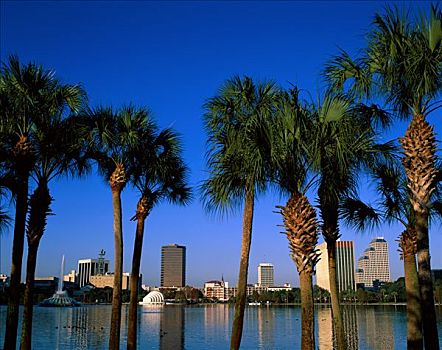 城市天际线,湖,喷泉,棕榈树,奥兰多,佛罗里达,美国