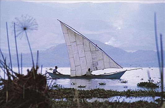 帆船,渔船,湖,亮光,肯尼亚,非洲
