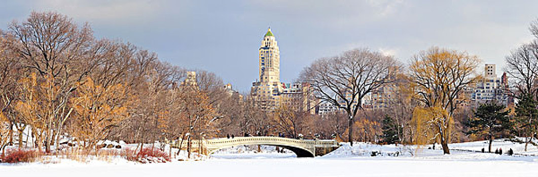 纽约,曼哈顿,中央公园,冬天