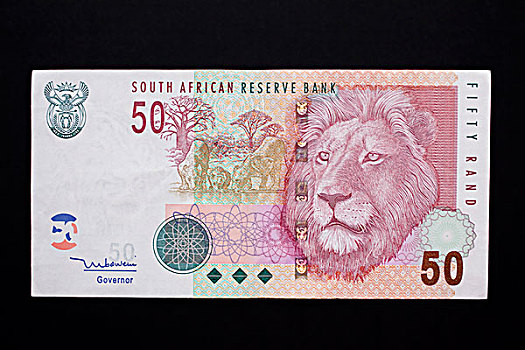 南非,特写,纸币