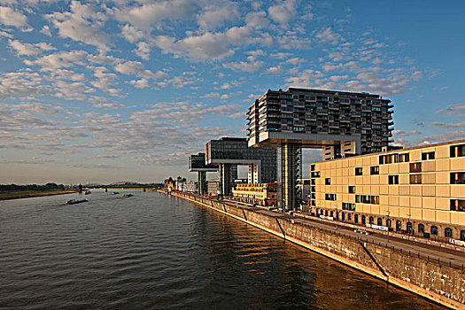 风景,莱茵河,起重机,形状,建筑,科隆,德国