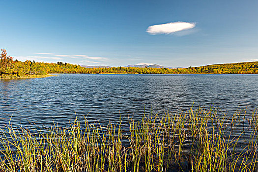 湖,国家公园,北博滕省,拉普兰,瑞典,欧洲