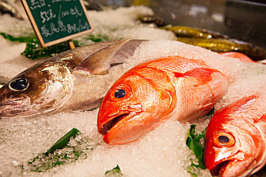 台灣台北,知名的觀光魚市場,上引水產,是國外旅客來台灣旅遊旅客必來的觀光景點,是海鮮賣場也是水產餐廳