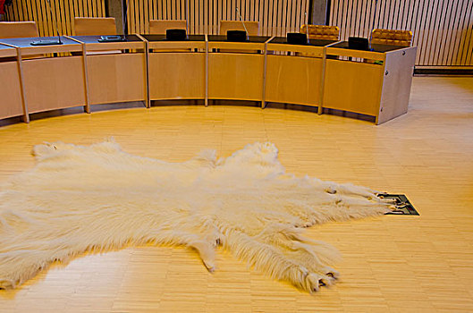 格陵兰,首都,努克,市政厅,会议室,北极熊,地毯