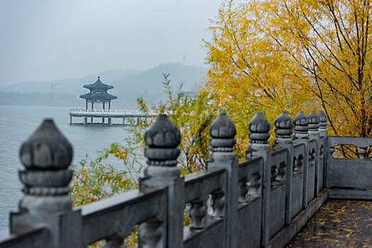 秋雨中的公园风景