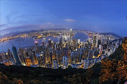 香港岛,维多利亚,湾,背影,九龙,香港,中国,亚洲