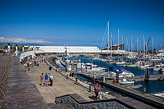 葡萄牙,亚速尔群岛,岛屿,俯视图,码头