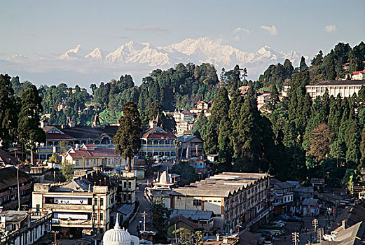大吉岭,西孟加拉,印度,亚洲