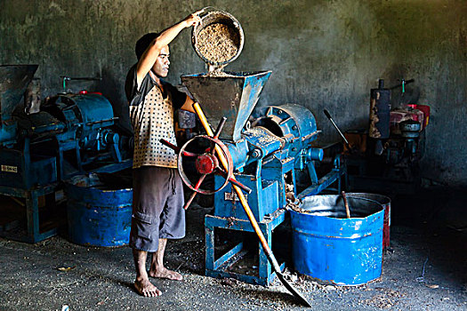 男人,制作,生物柴油,椰子,外皮,胜地,印度尼西亚