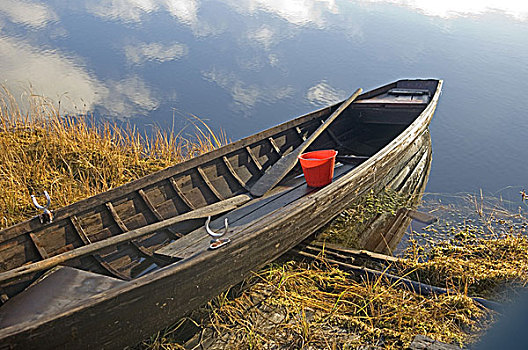 芬兰,岸边,划桨船,桶